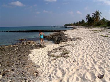 2004 Cuba, Havanna - Maria la Gorda, DSC00567 B_B720